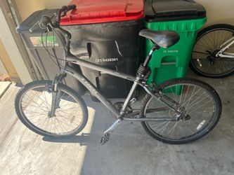 Trek bike