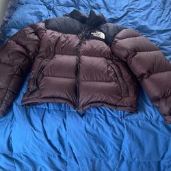 The North Face Coal Brown (S) 150