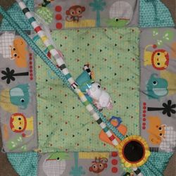 Gently Used Play Mat 