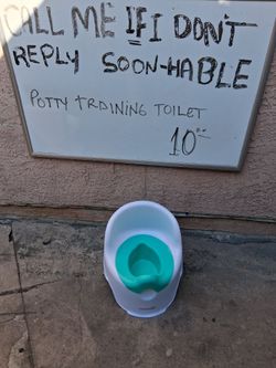 Toddler Potty Training Toilet