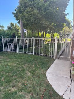 Iron Fence with gate for sale