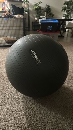Trideer Exercise Ball