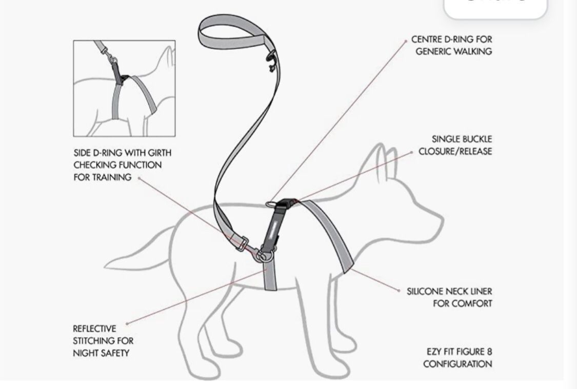 EZYDOG Dog Harness