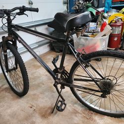 Bicycle Medium Tires