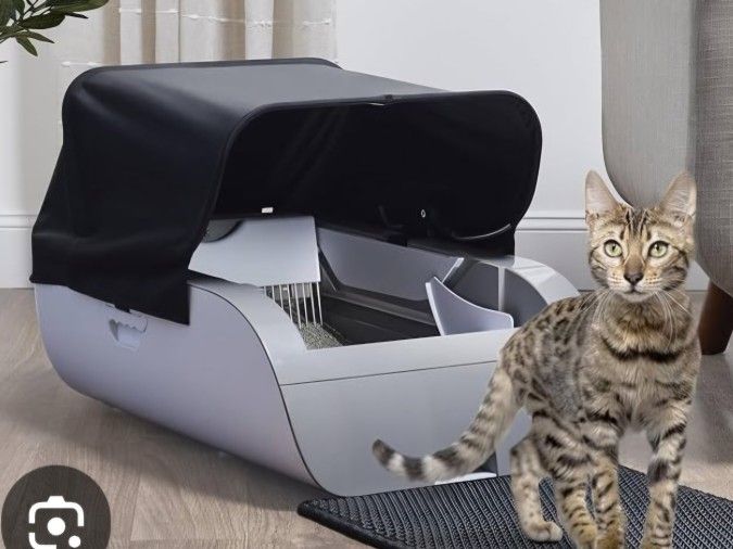Automatic Kitty Litter Box