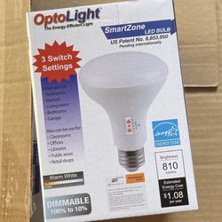 25 LED Flood Light BULBS