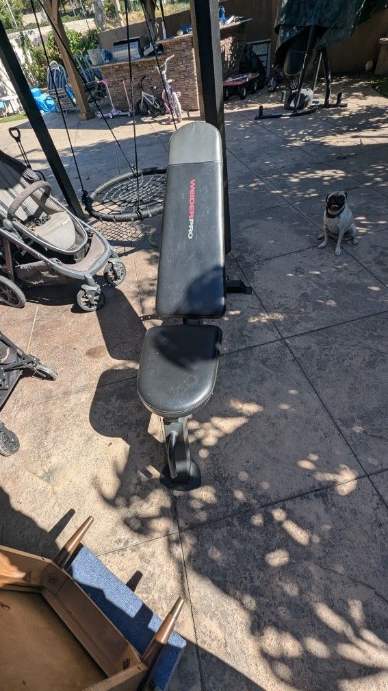 Weight Bench 