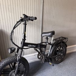 Electric Bike