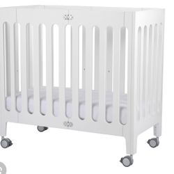 Alma Bloom Crib Y Mini Crib Newton Mattress 