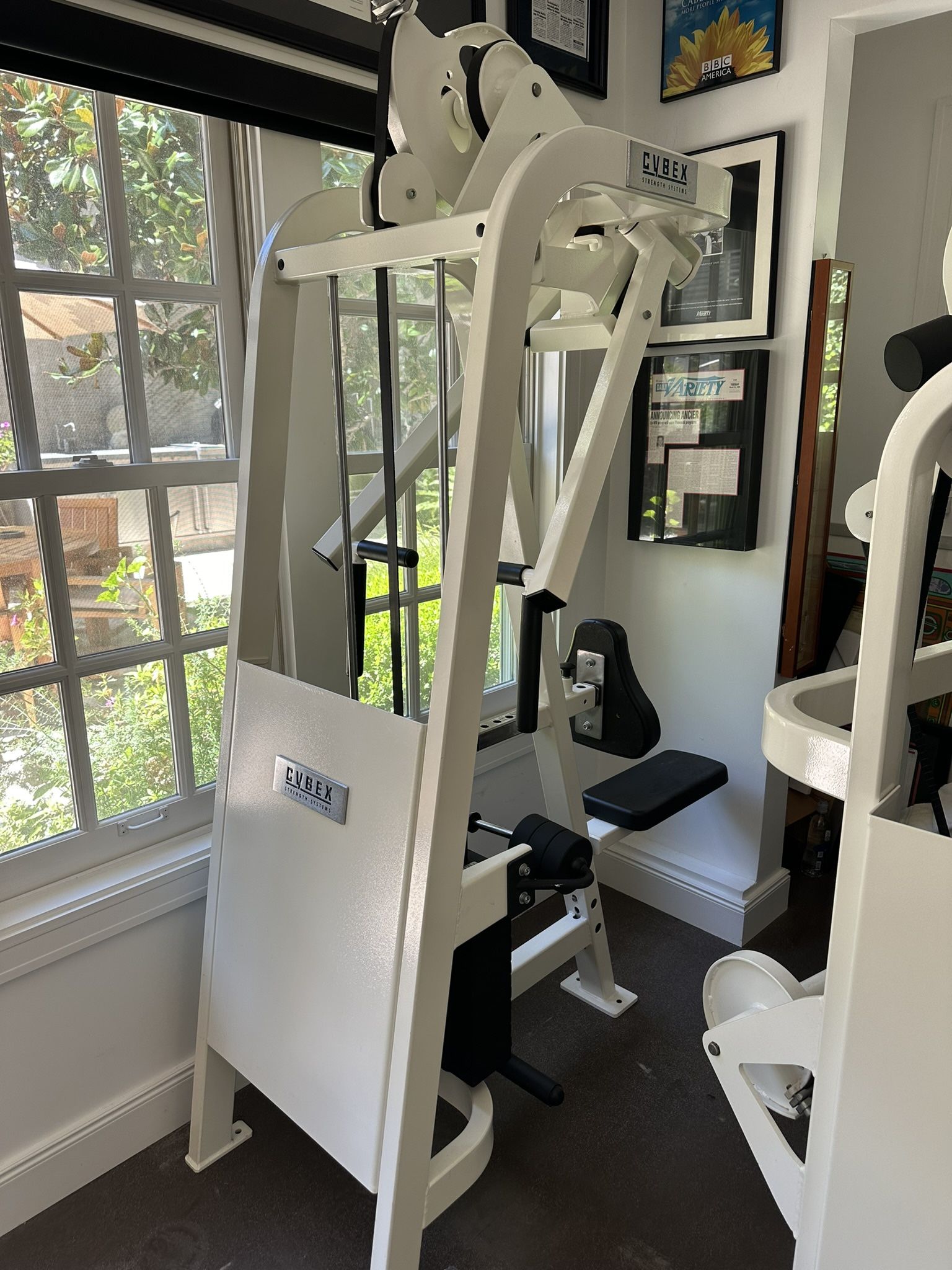 Cybex VR2 Low Row / Rear Delt