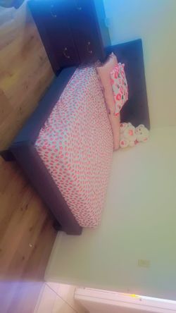 Cama