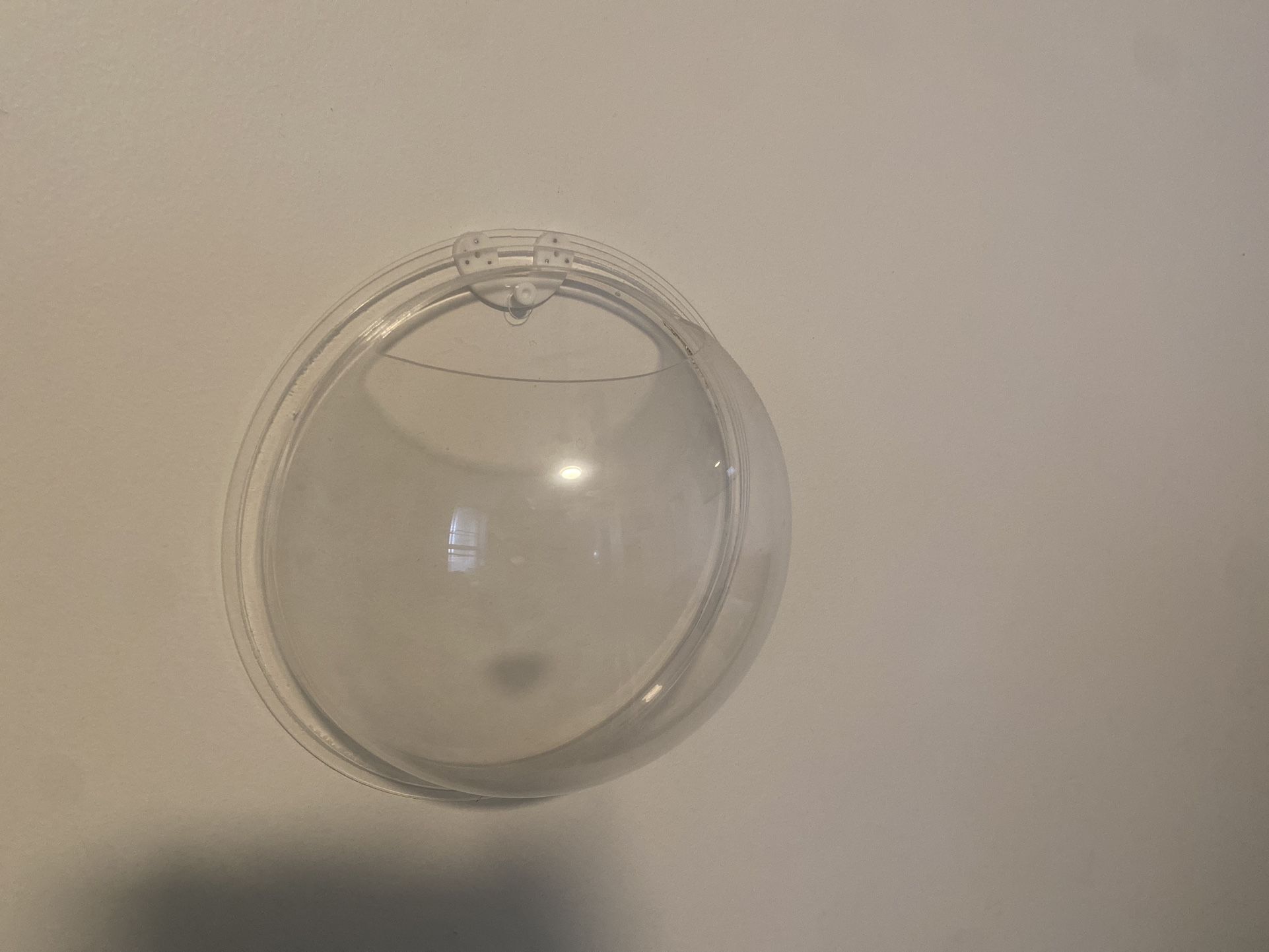 Fish Bowl Terrarium For Wall