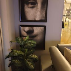 Mona Lisa Portrait Picture 