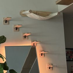 Cat Playground