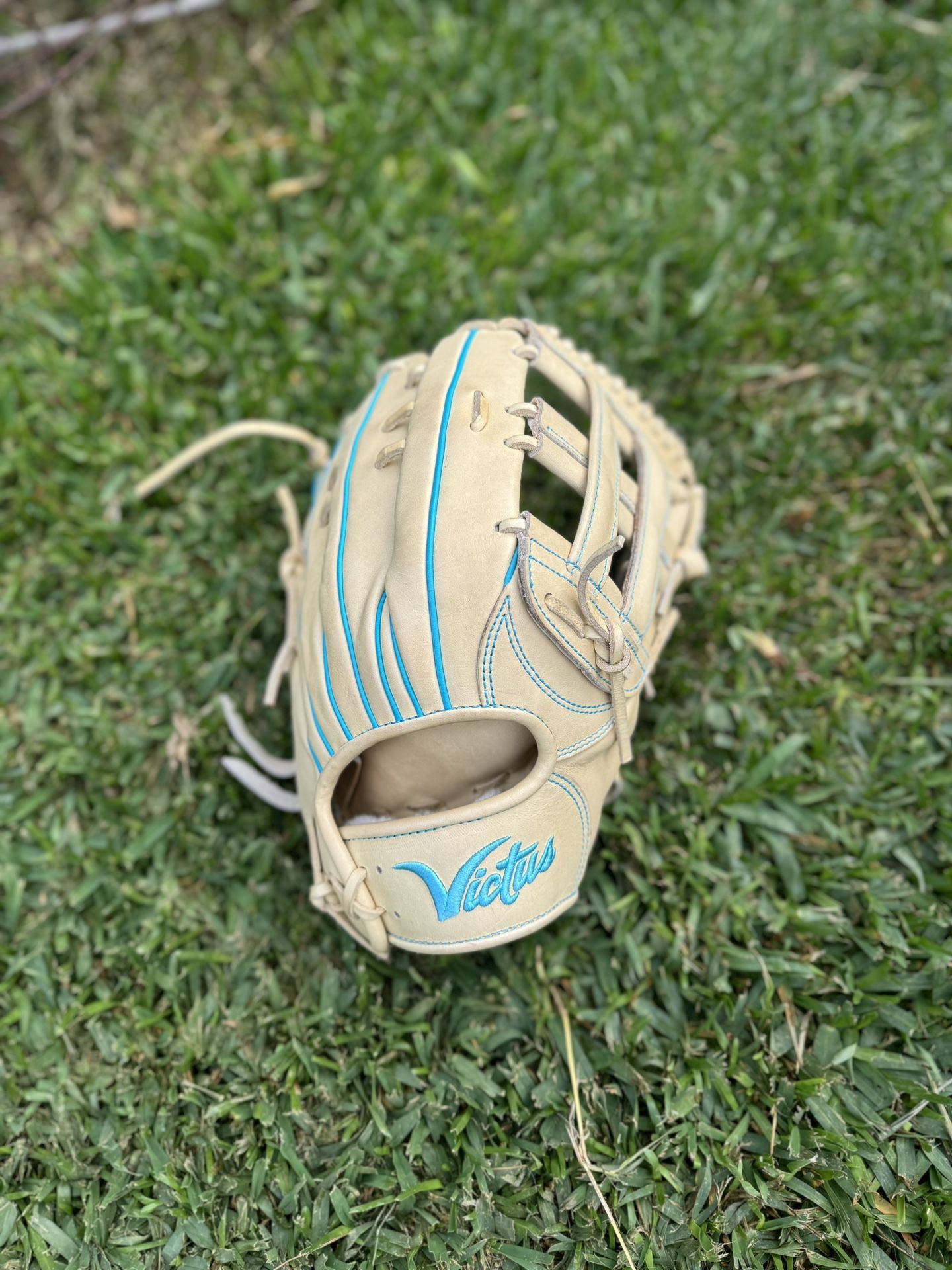 Baseball Glove