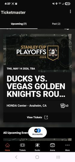 Ducks vs Knights