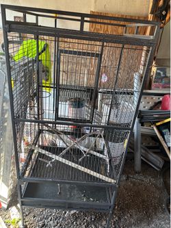 Bird cage