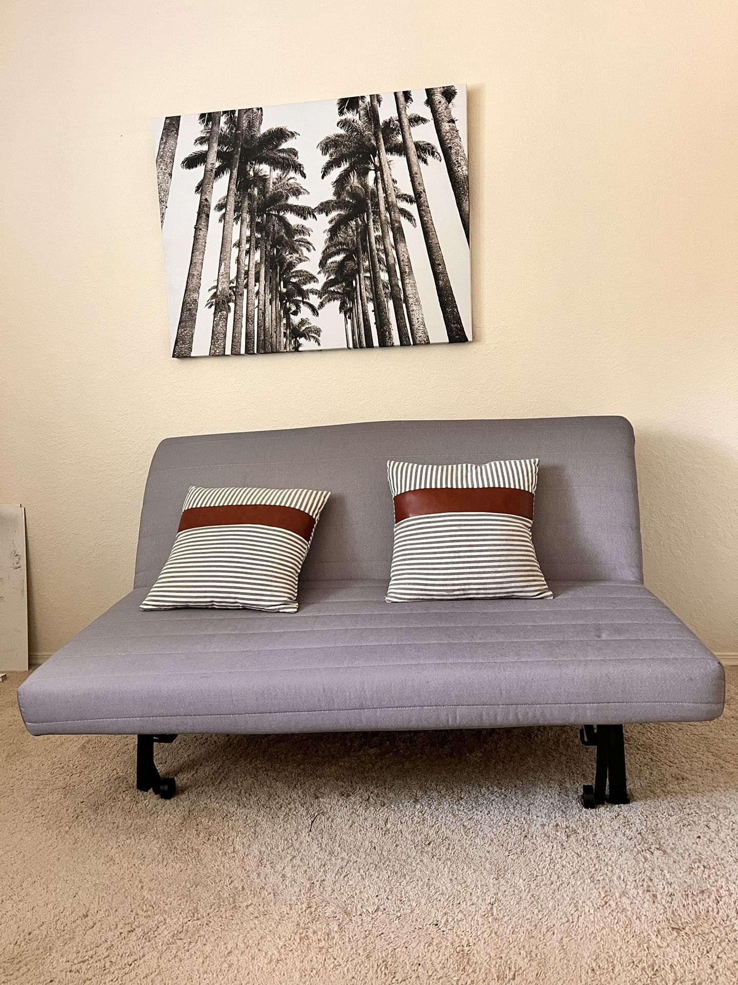 IKEA Full Sized Futon