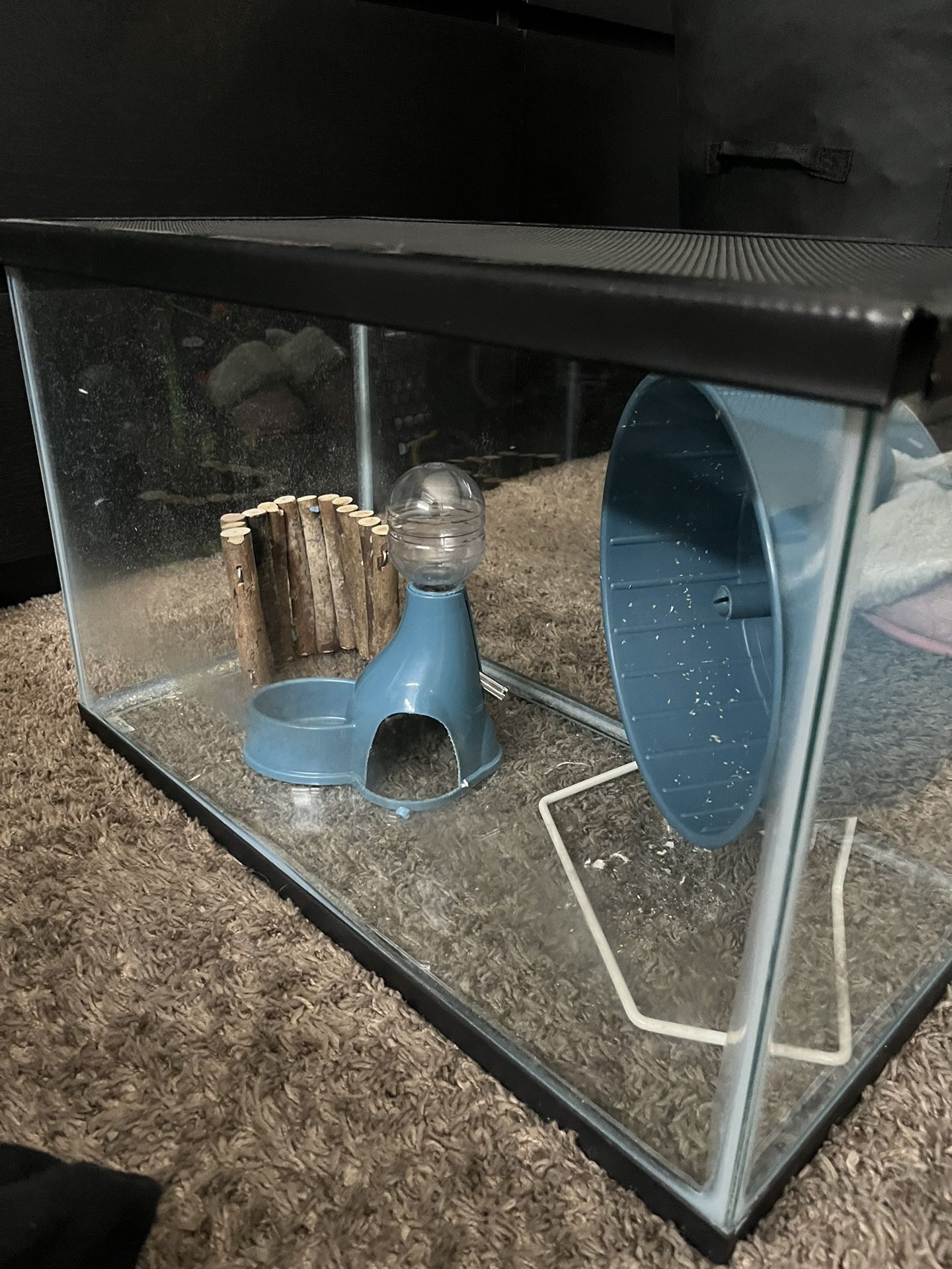 Hamster Cage/ Fish Tank