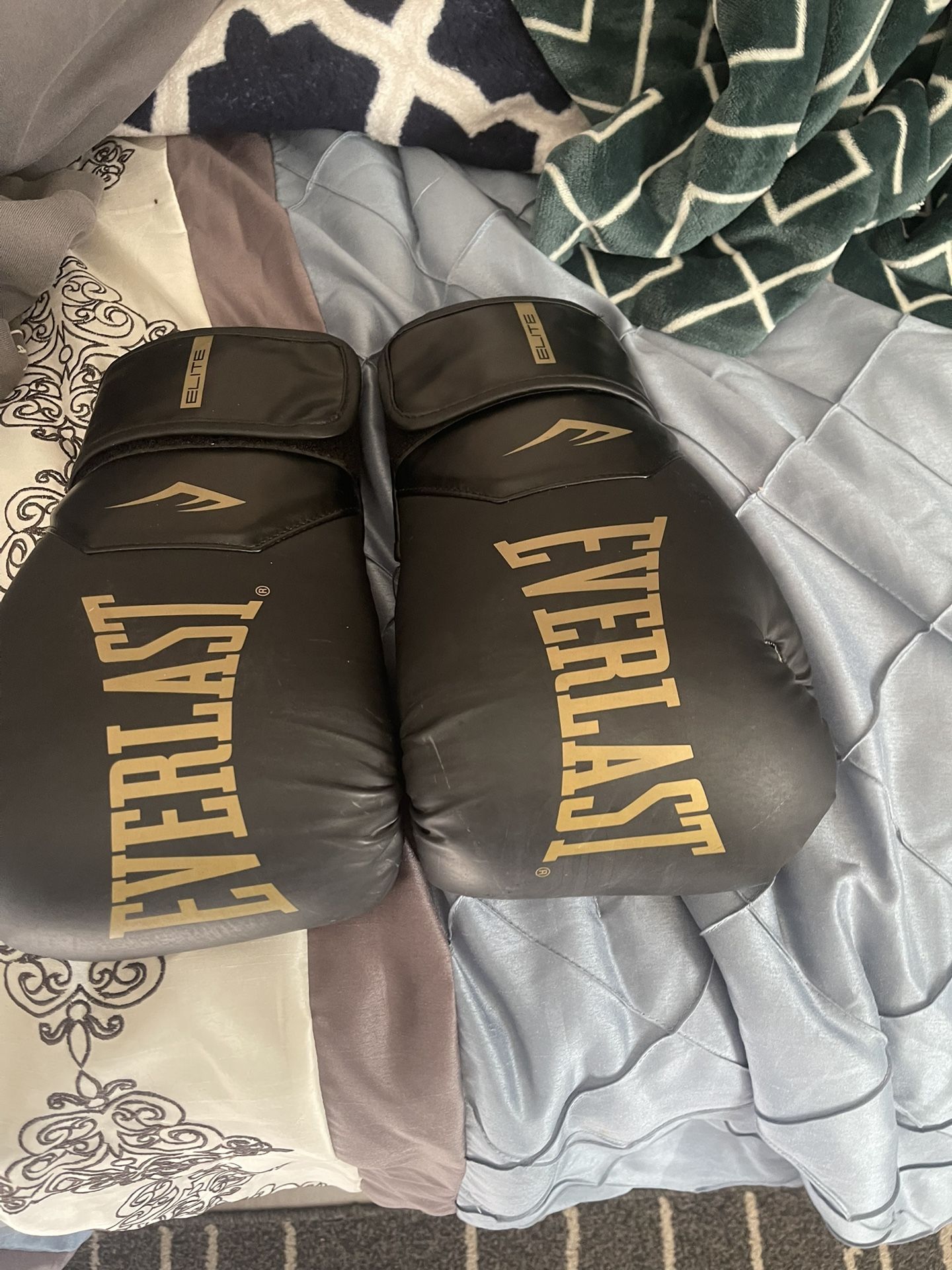 Everlast Boxing Gloves