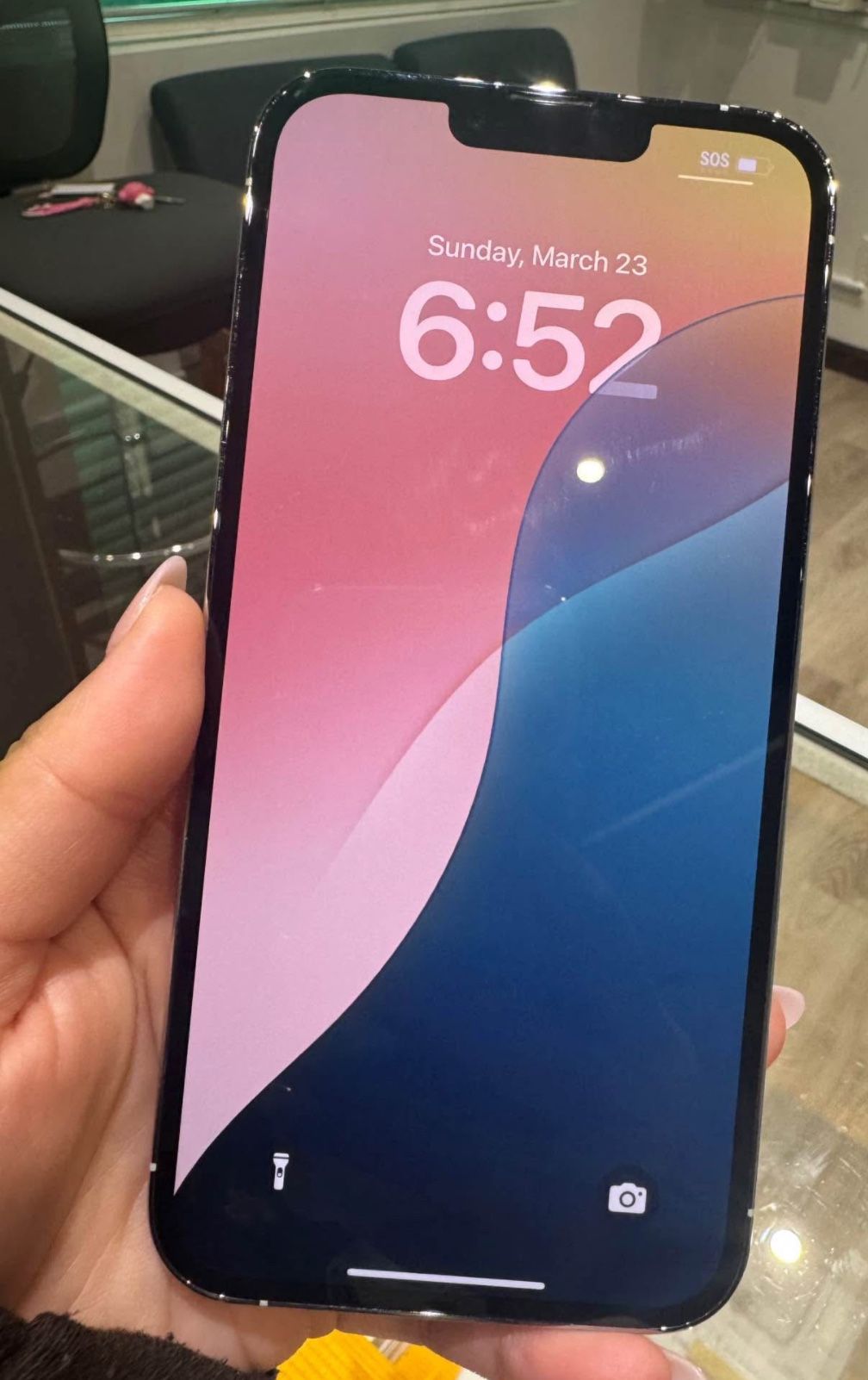 iPhone 13 Pro Max