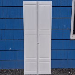 Folding Door 30x79 Wood