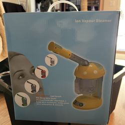 Facial steamer