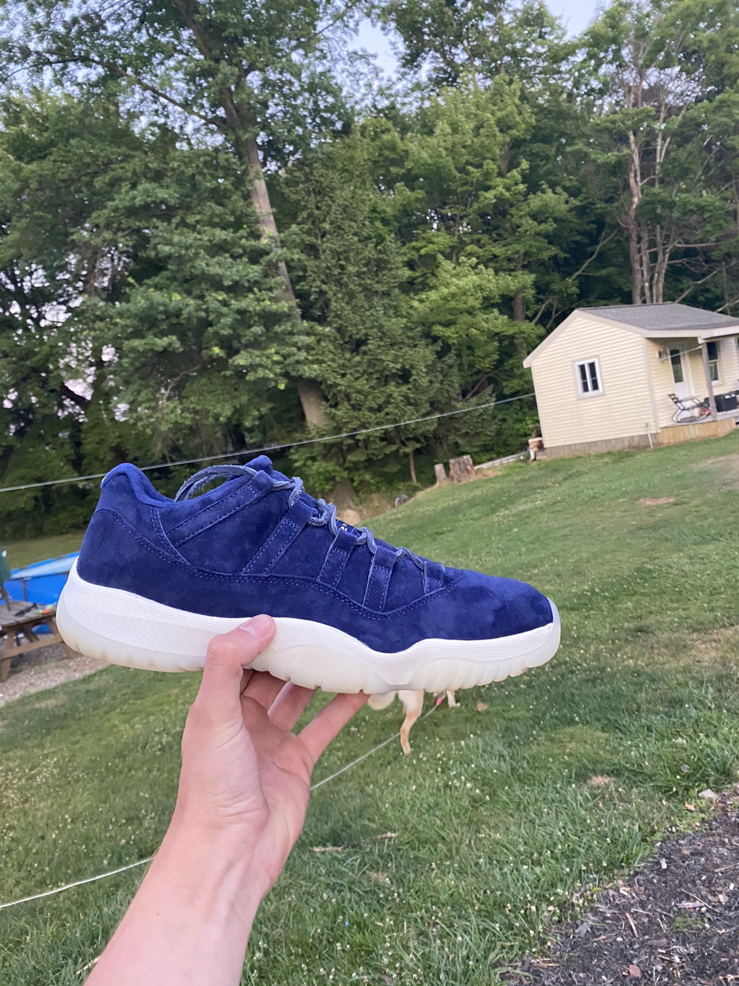 Jordan 11 low Derek Jeter