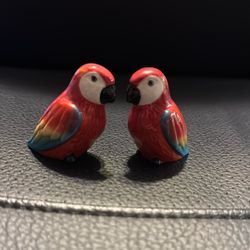 Scarlet Macaw Salt & Pepper Shakers