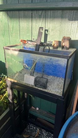 10 Gallon Glass Aquarium and Stand