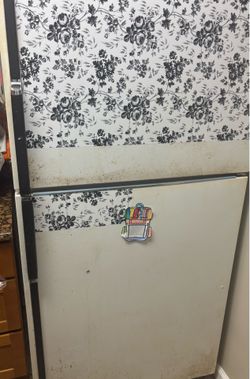Free refrigerator- works