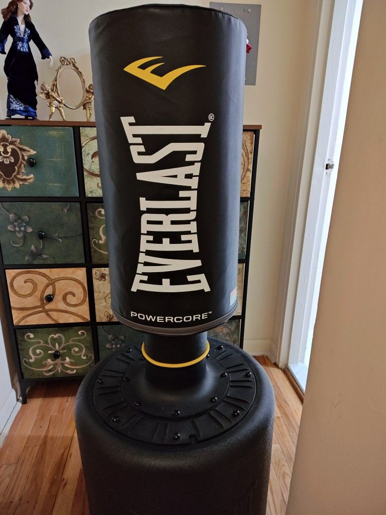 Everlast Power course Punching Bag
