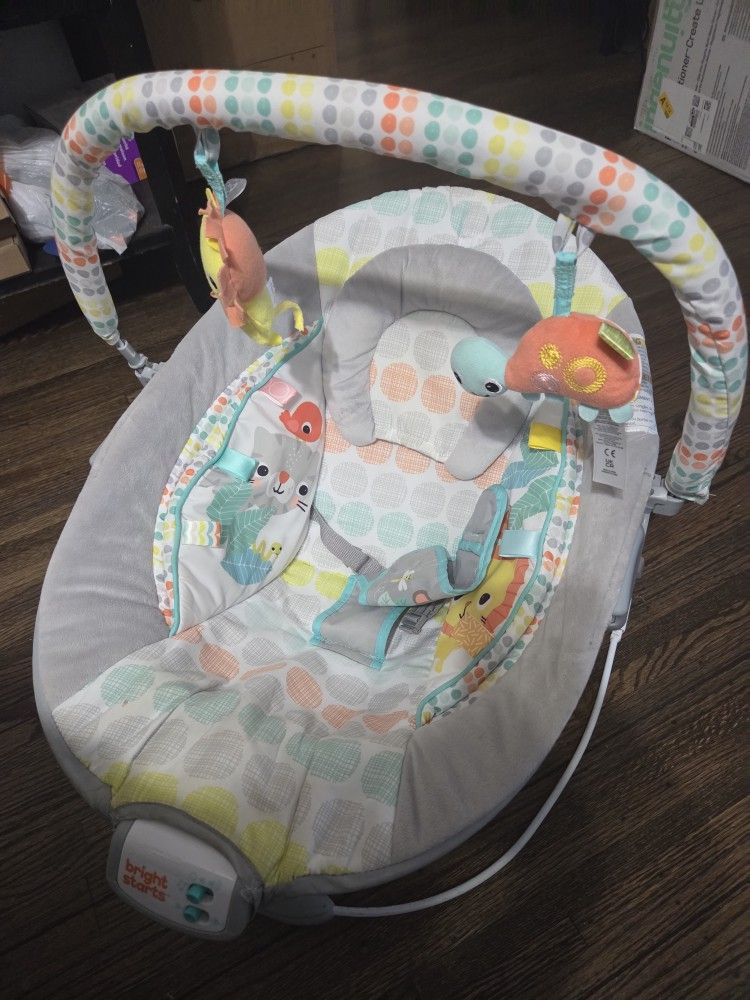 Swing And Rocking Chair