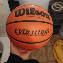 Wilson Evolution Basketball 