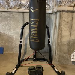 Brand new Never used Everlast punching bag, stand and boxing gloves