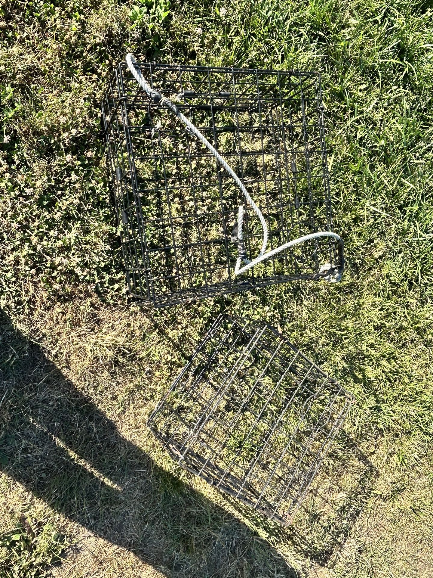 Crab Pots