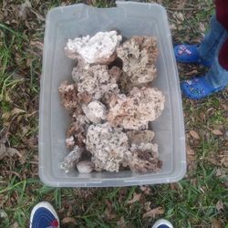 Saltwater Aquarium Rock