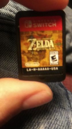 Nintendo switch zelda