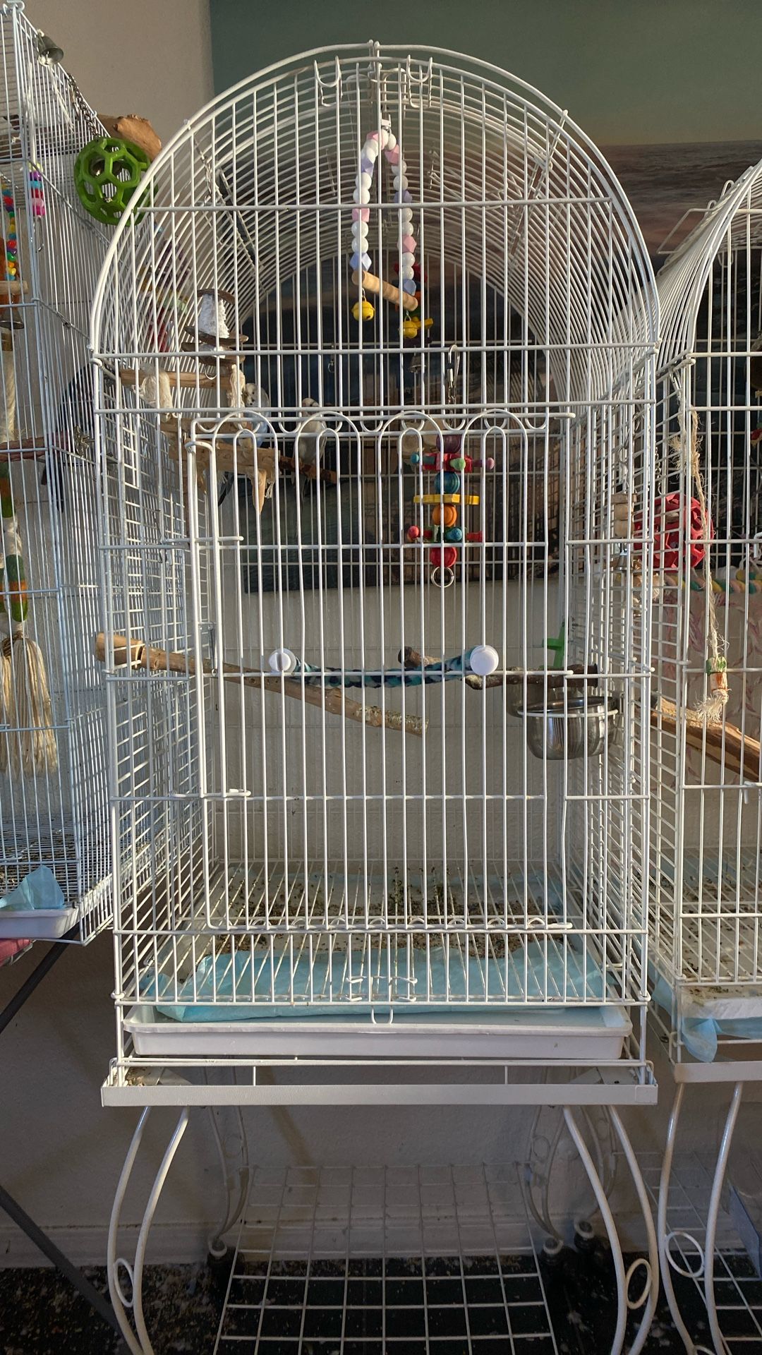 White Bird Cage
