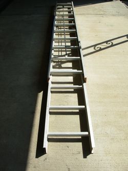 22 ft Extension Ladder