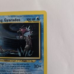 Shining Gyarados Neo Revelation 65/64