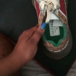 Brand New Gucci Shoes 