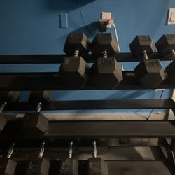 Complete Dumbbell Set with Rack  (Excellent  Condition)