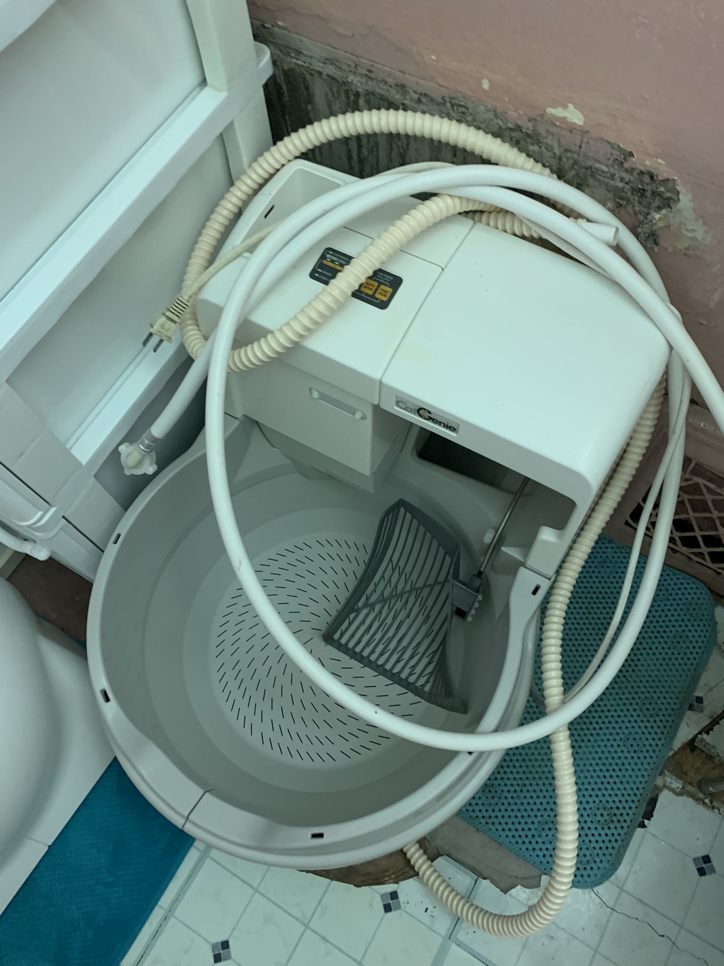 cat Genie for Sale in Nedrow, NY OfferUp