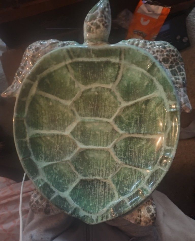 Turtle Plate