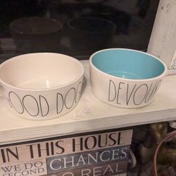 2 Large Dog Bowls 