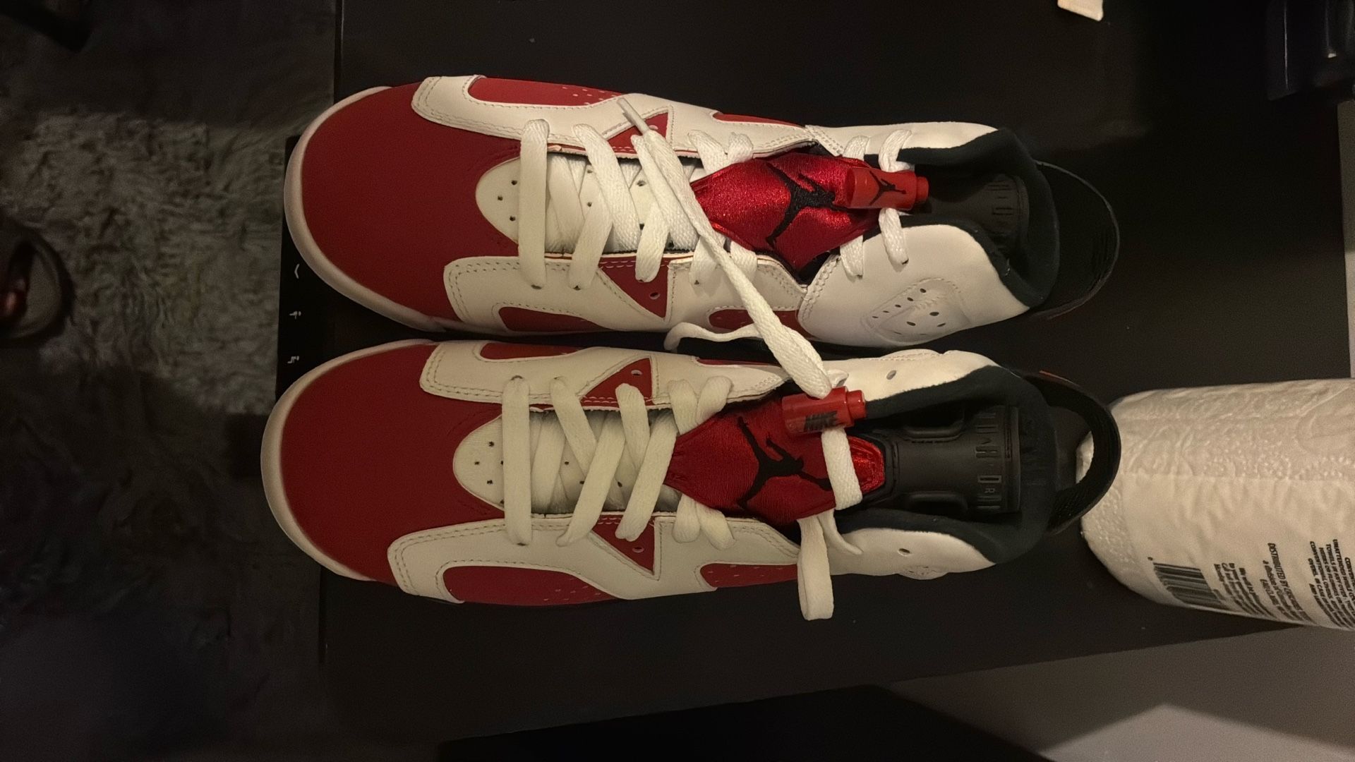 Air Jordan 6 Carmine Gs