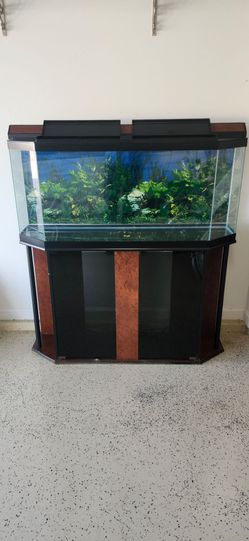 Large Glass Aquarium Tank with Cabinet Stand