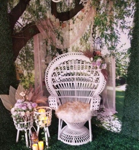 Peacock Chair