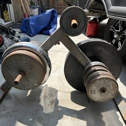 Weights, Squat Rack And Barbells 